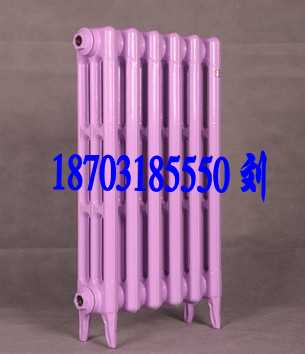 鑄鐵換熱器圖片/鑄鐵換熱器樣板圖 (2)