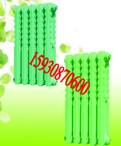 750散熱器圖片/750散熱器樣板圖 (4)