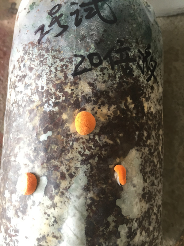 殺菌劑圖片/殺菌劑樣板圖 (3)