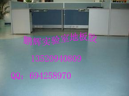 供應(yīng)實驗室*地板，化驗室耐酸堿地板，防腐蝕塑膠地板