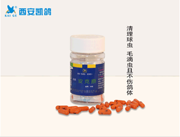 鴿藥【安克原】臺(tái)灣進(jìn)口,羽毛逆立圖片
