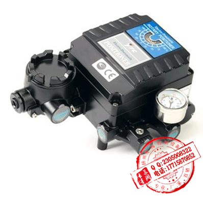 電-氣定位器圖片/電-氣定位器樣板圖 (2)