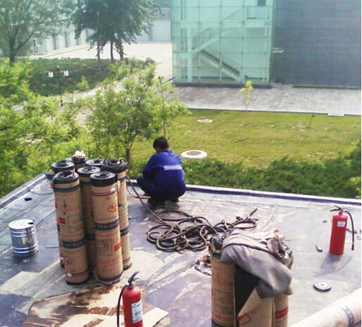 沙井防水補漏公司圖片/沙井防水補漏公司樣板圖 (2)