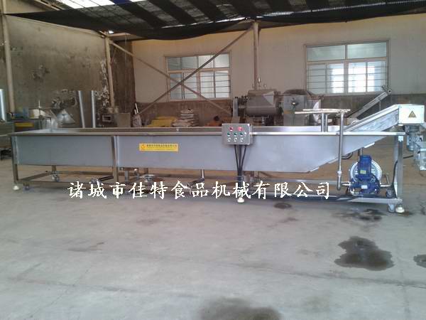 多功能蔬菜清洗機(jī)圖片