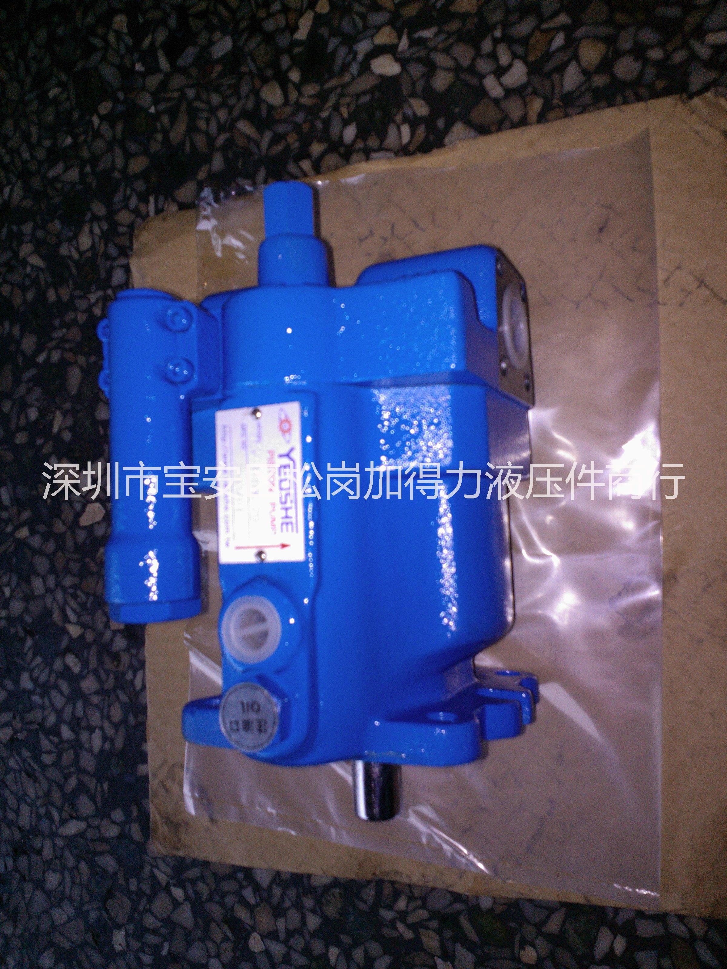 V型柱塞泵圖片/V型柱塞泵樣板圖 (4)