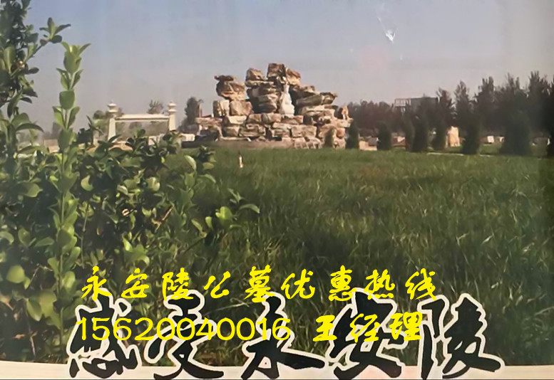 供應永安陵公墓墓地價格