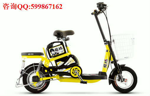 愛瑪48VQQ電動(dòng)車圖片