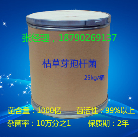 枯草芽孢桿菌圖片/枯草芽孢桿菌樣板圖 (1)