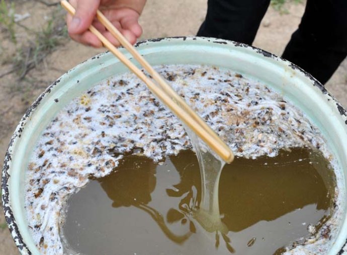 供应蜂蜜生产制造,蜂蜜厂家批发首选深圳原生堂健康管理有限公司，哪家蜂蜜最好？原生堂健康管理有限公司图片