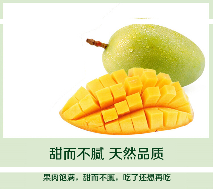 攀枝花芒果圖片/攀枝花芒果樣板圖 (3)