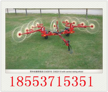 3201 GM 懸掛式摟草機(jī)圖片