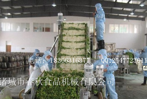 蔬菜清洗機(jī)圖片/蔬菜清洗機(jī)樣板圖 (1)