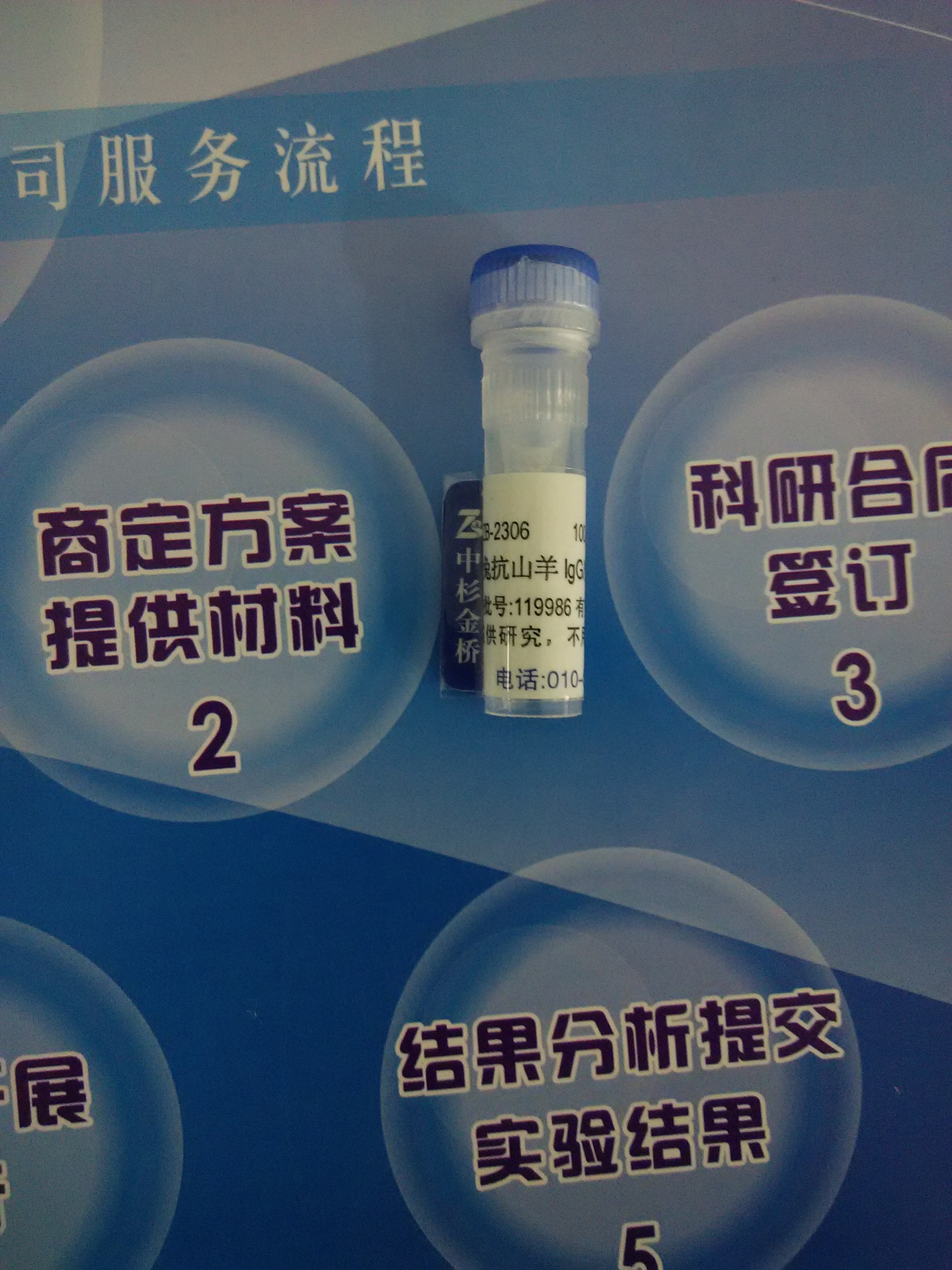 供应辣根酶标记兔抗山羊IgG 中杉金桥 ZB-2306 量大更优惠 现货供应 生物试剂