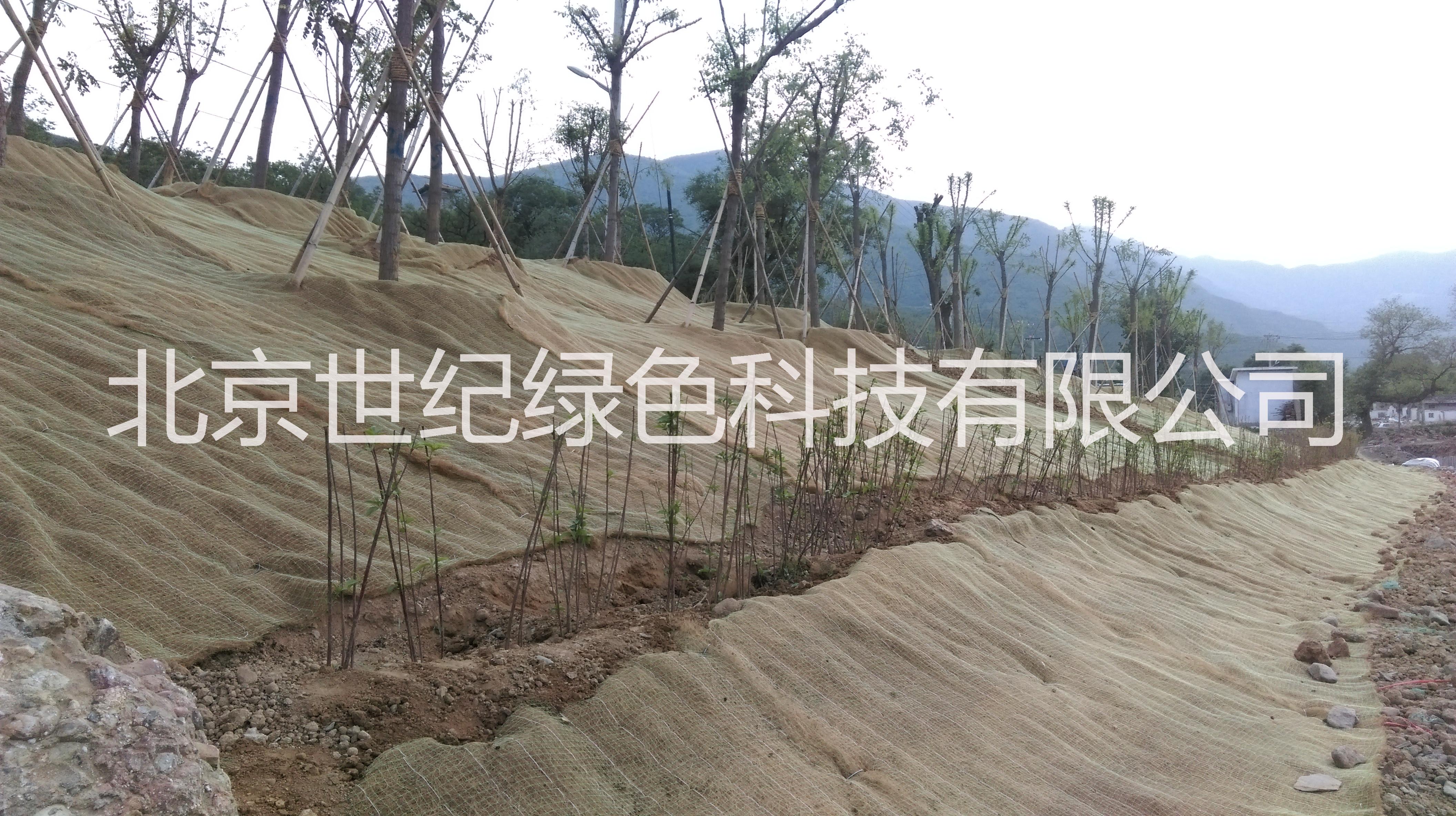 邊坡綠化圖片/邊坡綠化樣板圖 (2)