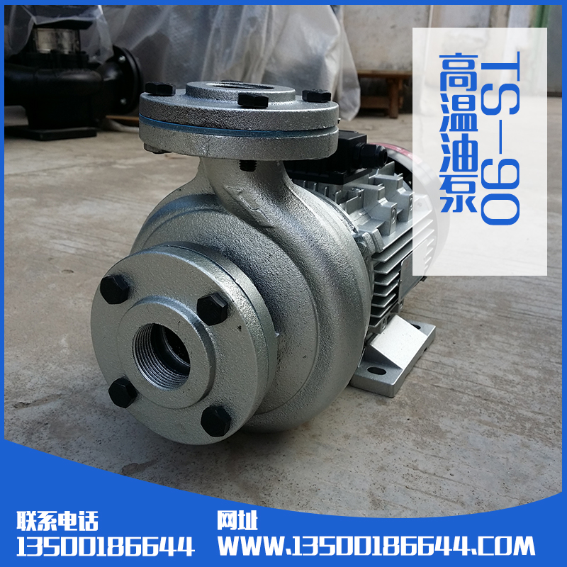 TS-90油泵生產(chǎn)廠家批發(fā)圖片/TS-90油泵生產(chǎn)廠家批發(fā)樣板圖 (2)