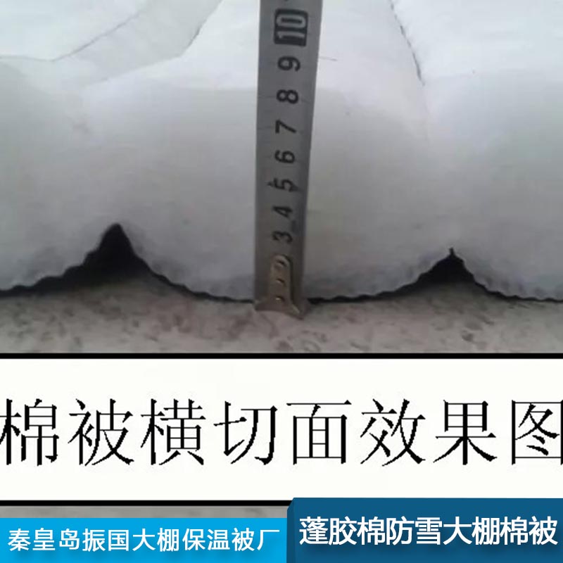 供应蓬胶棉大棚棉被 河北秦皇岛蓬胶棉防雪大棚棉被厂家直销批发报价