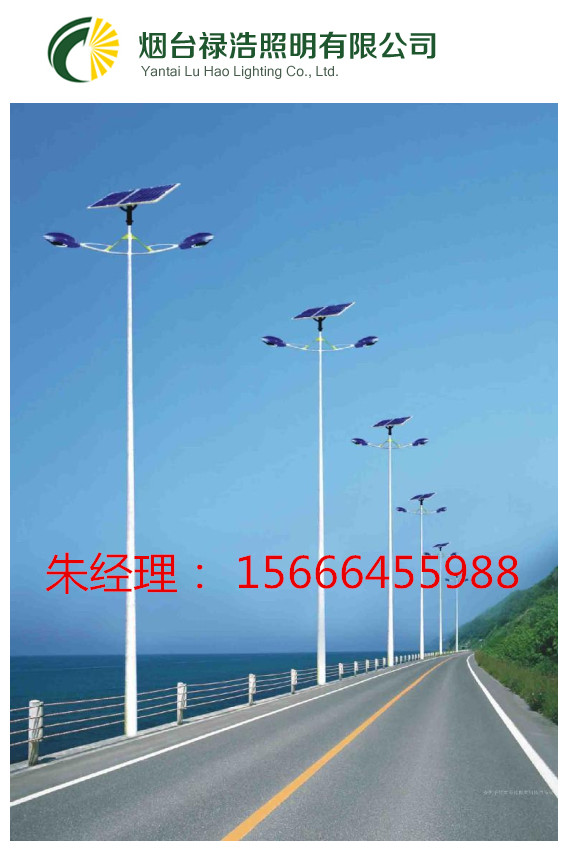 太陽(yáng)能路燈圖片/太陽(yáng)能路燈樣板圖 (2)