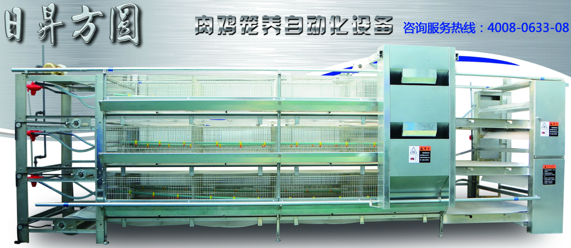方圓銷售的肉雞籠，自動化養(yǎng)雞設備圖片