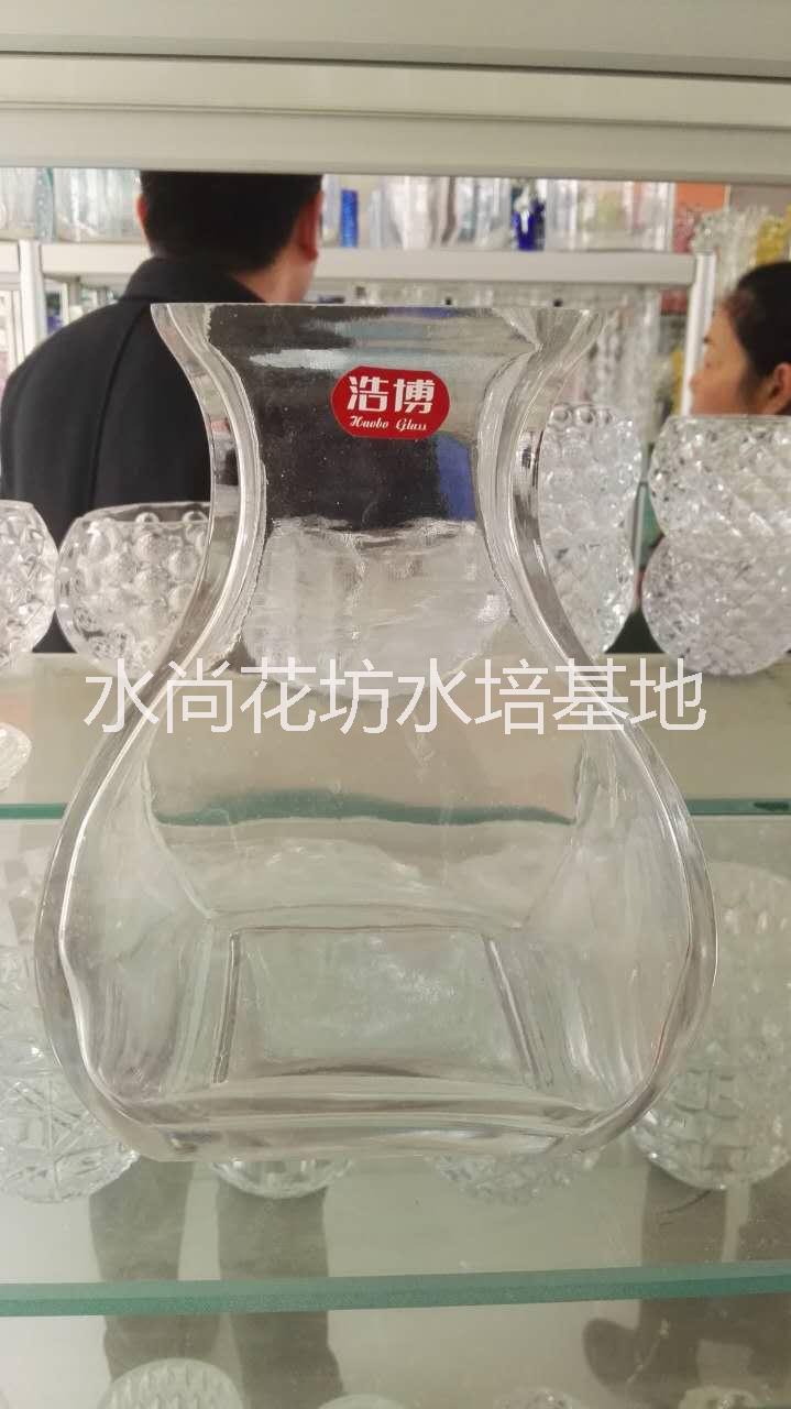 供应水培透明玻璃异型方缸透明鱼缸批发，厂家大量批发 异型玻璃花瓶 富贵竹水晶玻璃瓶批发 水培花卉玻璃瓶批发 水培花卉定植