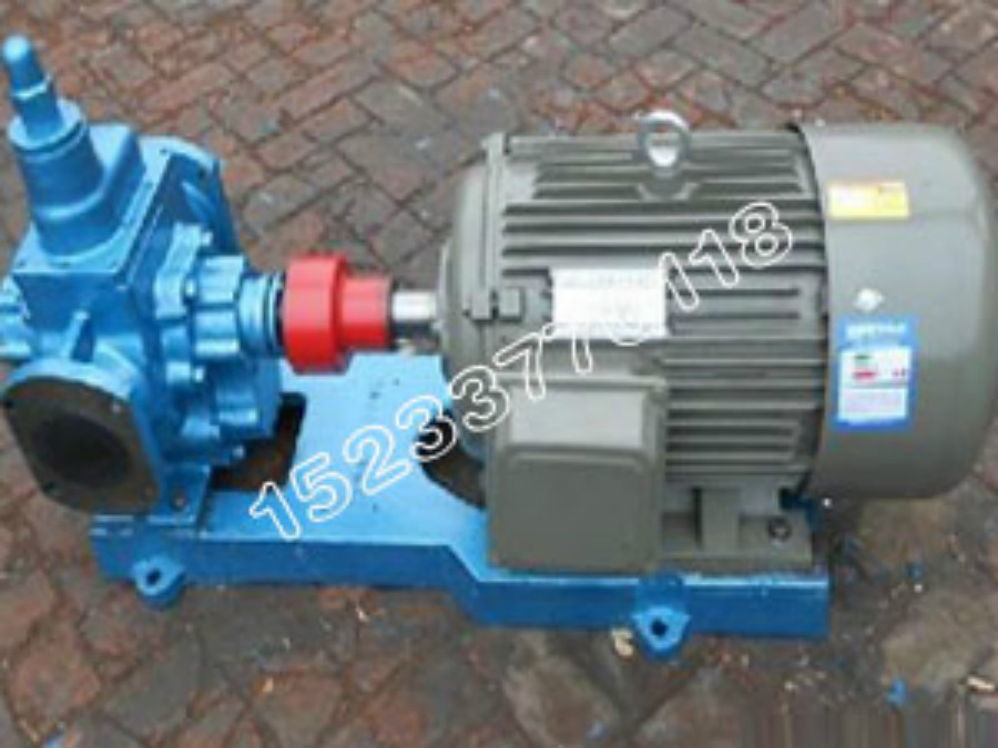 新型高溫齒輪泵圖片