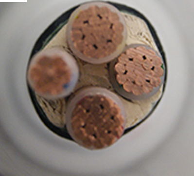 江南電纜YJV3x70+1x35圖片/江南電纜YJV3x70+1x35樣板圖 (1)