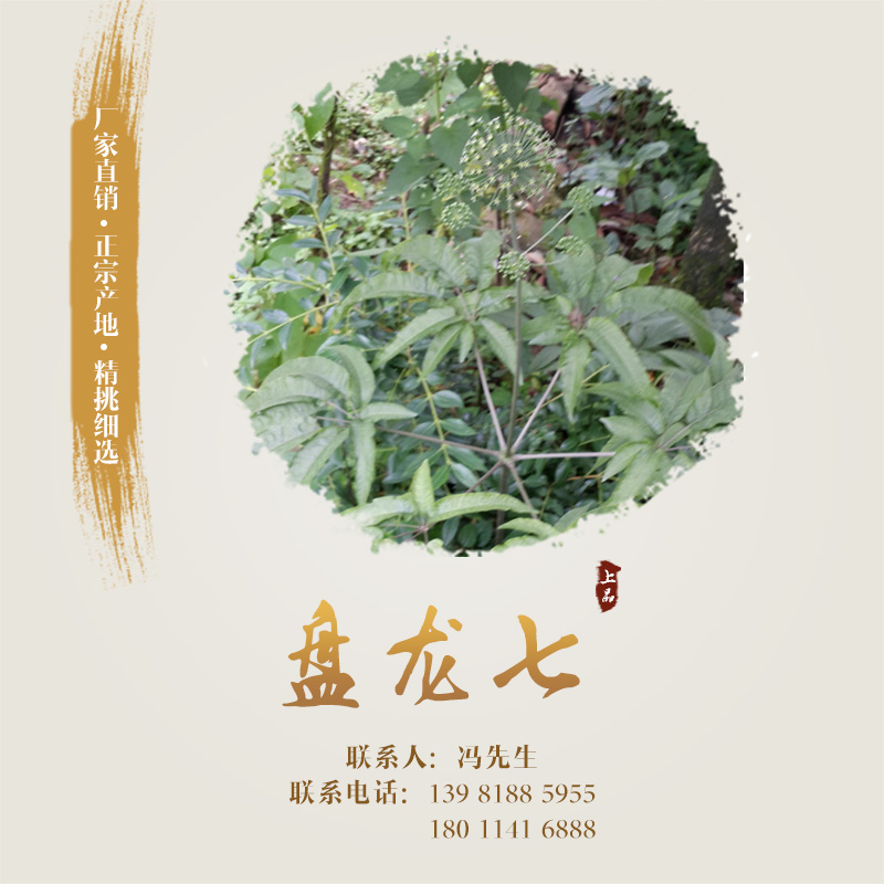 盤龍圖片/盤龍樣板圖 (1)