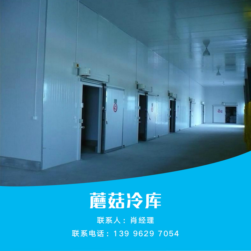 蘑菇冷庫圖片/蘑菇冷庫樣板圖 (4)