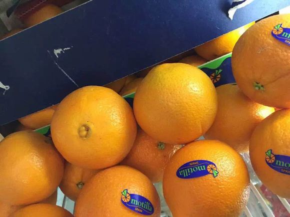 進口水果圖片/進口水果樣板圖 (2)