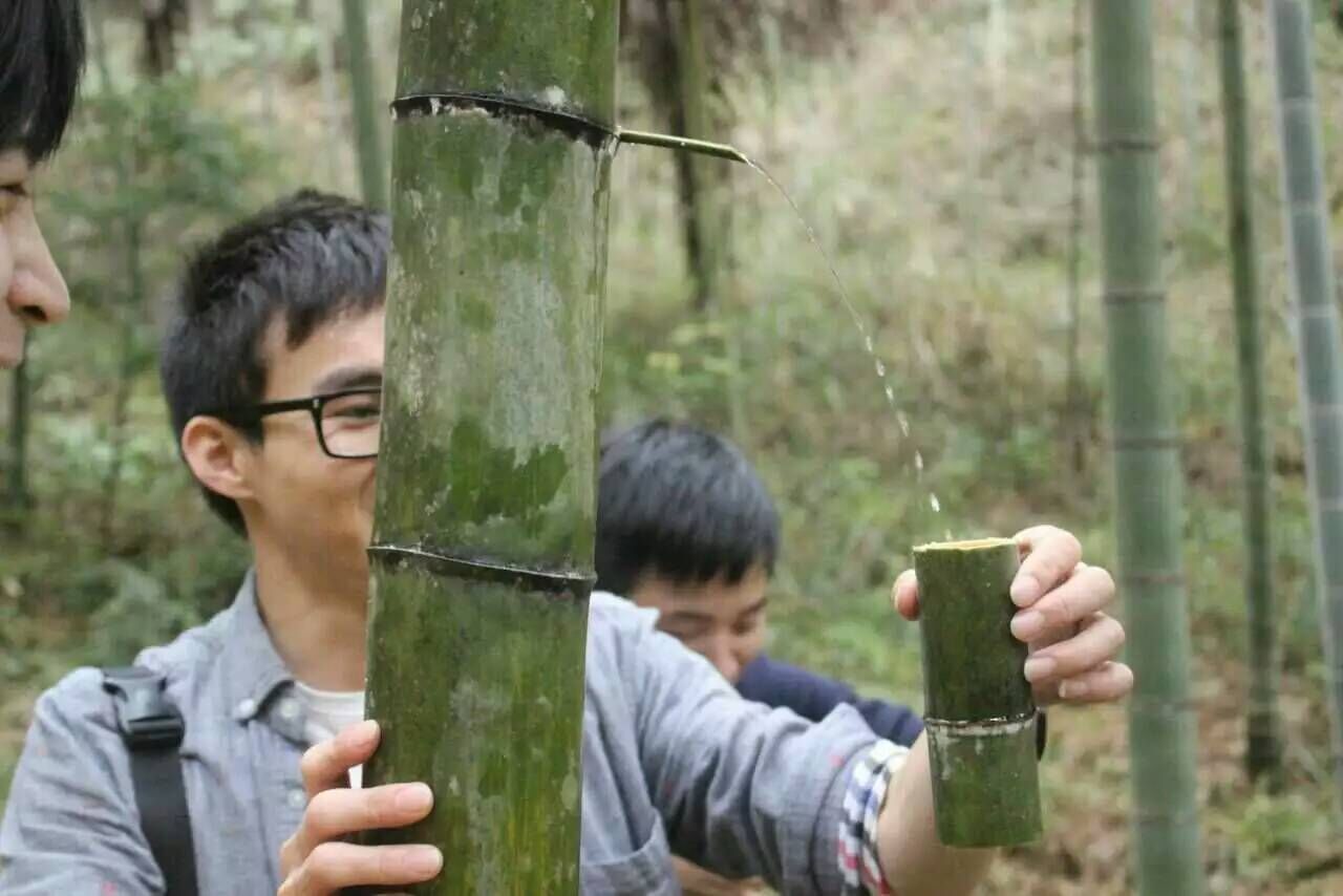 福建竹筒酒?綠色原生態(tài)竹子酒廠家圖片