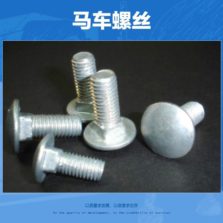 馬車螺絲圖片/馬車螺絲樣板圖 (3)