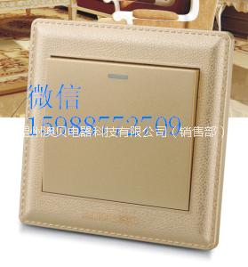 墻壁開關(guān)廠家圖片/墻壁開關(guān)廠家樣板圖 (2)