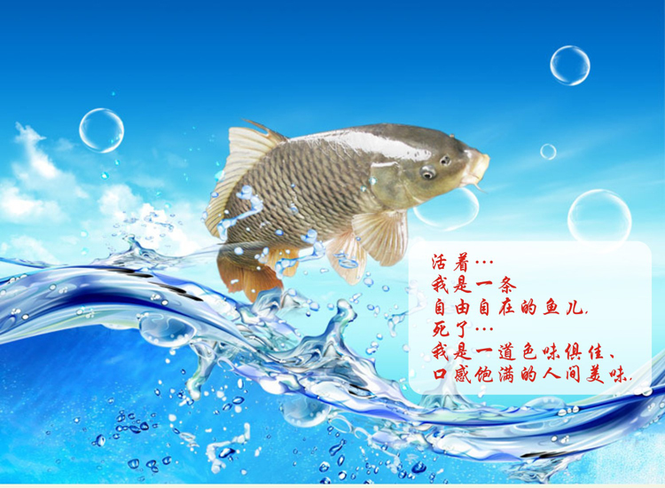 魚肉采肉機圖片/魚肉采肉機樣板圖 (4)