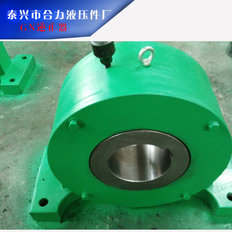 GN逆止器圖片/GN逆止器樣板圖 (1)