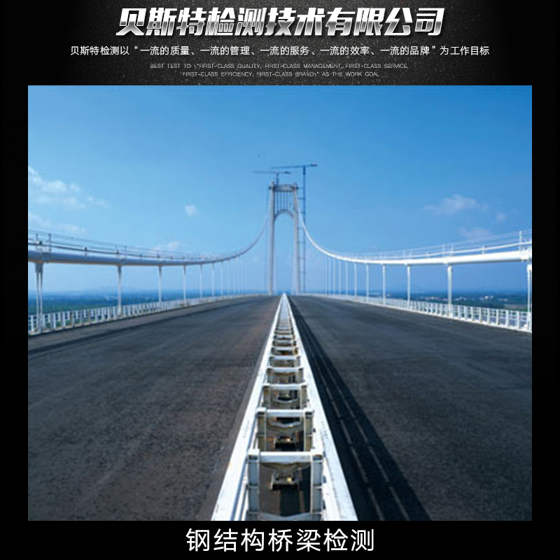 供應鋼結構橋梁檢測 鋼結構橋梁檢測中心 專業(yè)鋼結構橋梁檢測 鋼結構橋梁檢測服務圖片