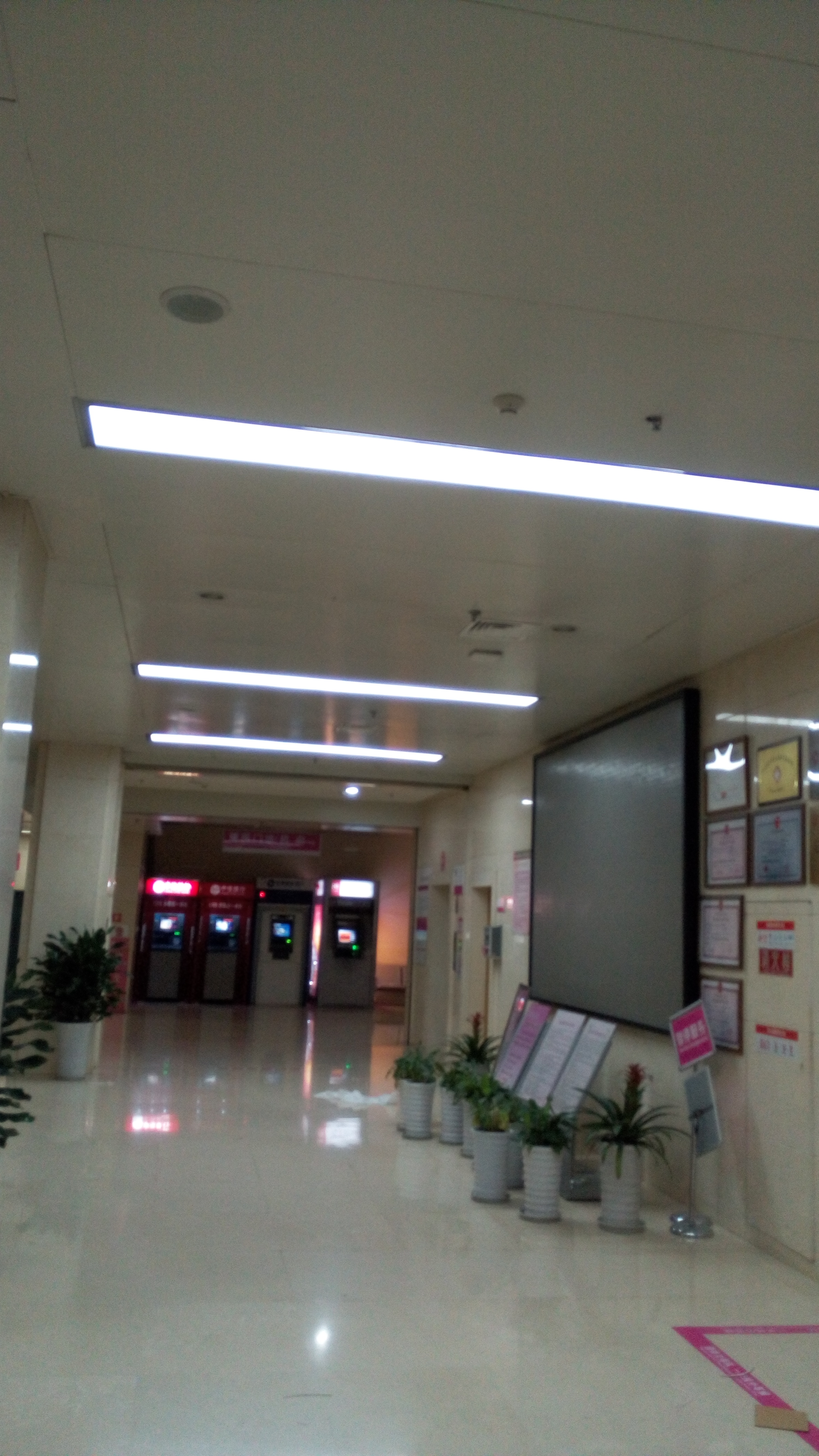 四川圖片/四川樣板圖 (2)
