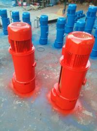 鋼絲繩電動葫蘆圖片/鋼絲繩電動葫蘆樣板圖 (4)