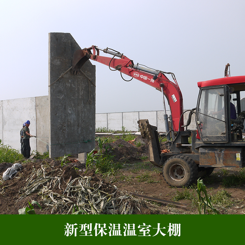 新型保溫溫室大棚圖片/新型保溫溫室大棚樣板圖 (3)
