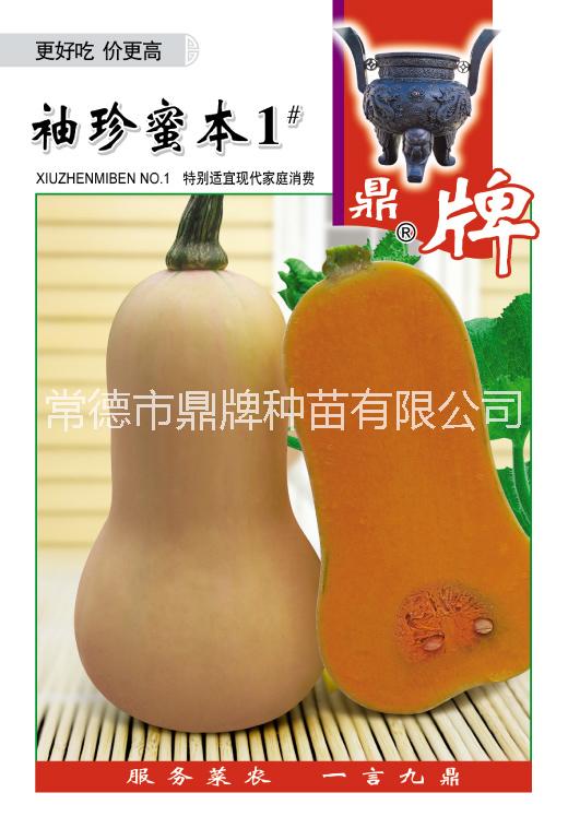 供應(yīng)南瓜種子