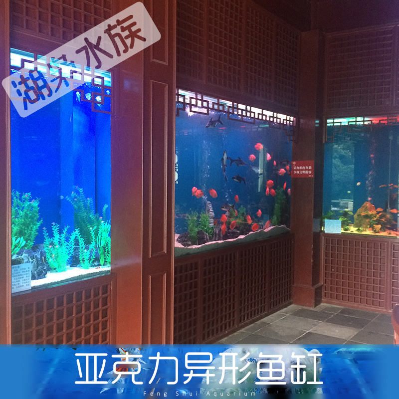 有機玻璃魚缸廠家 上海大型觀賞魚缸 異形魚缸定做