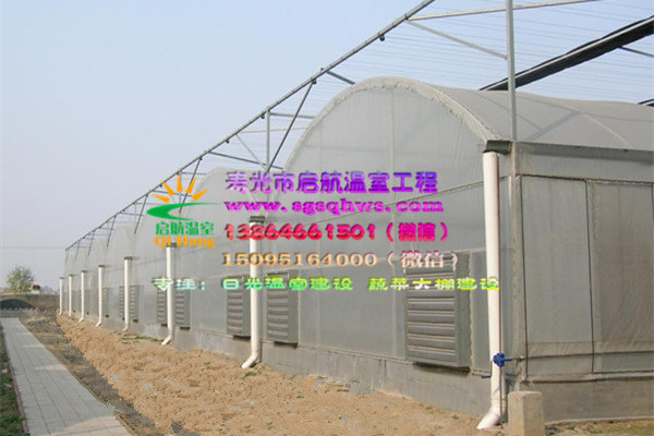 供應(yīng)智能溫室      薄膜智能溫室   壽光市啟航溫室