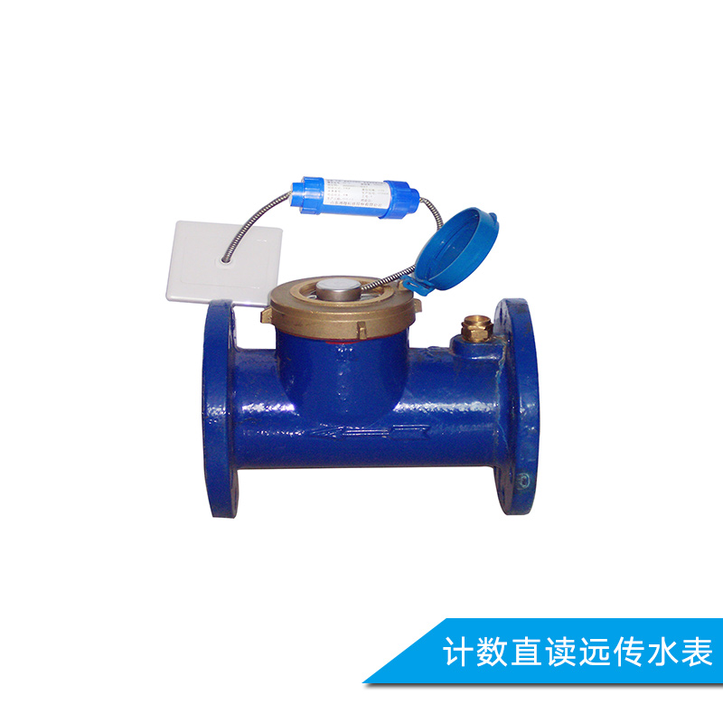 直讀遠(yuǎn)傳水表圖片/直讀遠(yuǎn)傳水表樣板圖 (2)