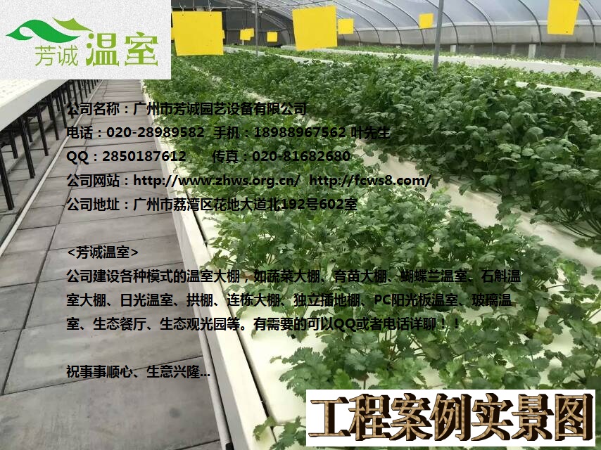 廣東生態(tài)溫室圖片/廣東生態(tài)溫室樣板圖 (4)