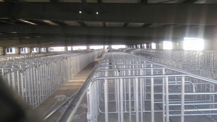 恒力機械   熱鍍鋅母豬定位欄圖片