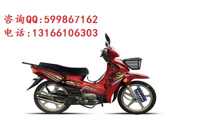 宗申ZS175摩托車圖片/宗申ZS175摩托車樣板圖 (2)