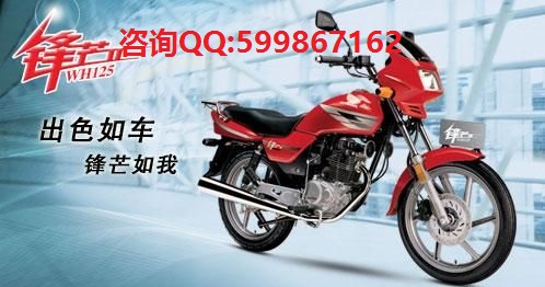 本田喜悅100圖片/本田喜悅100樣板圖 (2)