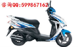 新大洲本田圖片/新大洲本田樣板圖 (3)