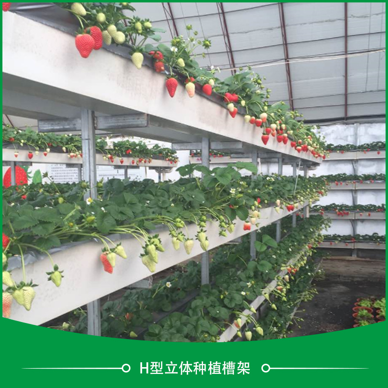 H型立体种植槽架 H型立体无土栽培槽架 H型瓜果蔬菜种植槽架 立体种植槽价格