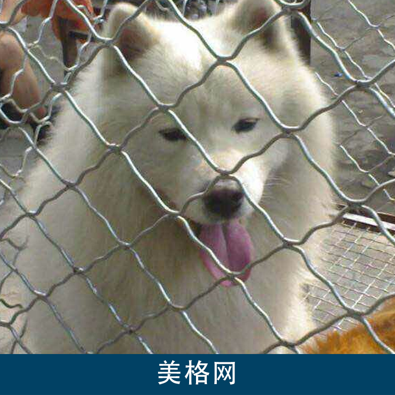 鍍鋅美格網(wǎng)，武漢美格網(wǎng)廠家批發(fā)，防護美格網(wǎng)，不銹鋼美格網(wǎng)