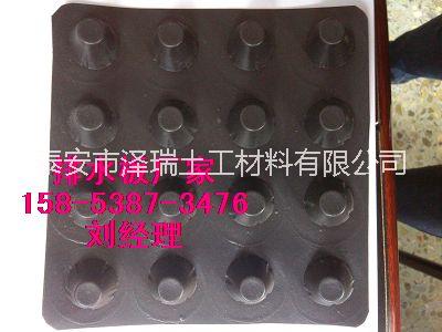 邯鄲20高蓄排水板%塑料濾水板圖片/邯鄲20高蓄排水板%塑料濾水板樣板圖 (1)