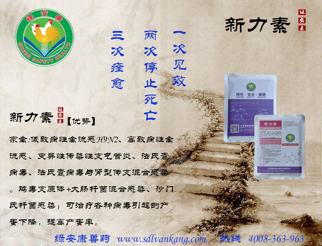 滨州市新力素——抗病毒高端用药厂家新力素——抗病毒高端用药（新感康）